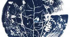 Workshop - Cyanotype