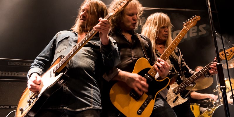 STATUS QUOTES TRIBUTE TO STATUS QUO