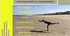 Oost meets west FYSIO-CHINENG Zomerworkshop 2