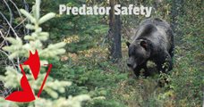 Predator safety