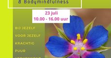 Zomerworkshop Chineng Qigong & Bodymindfulness 23 juli 2022 