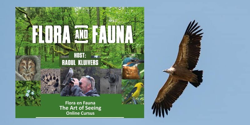 Flora & Fauna Online