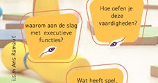 Werkplaats Executieve functies