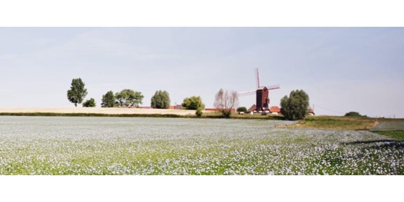 BEDRIJFSBEZOEK LIBECO NV