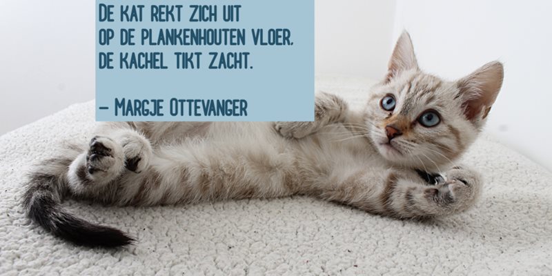 Creatief Haiku maken