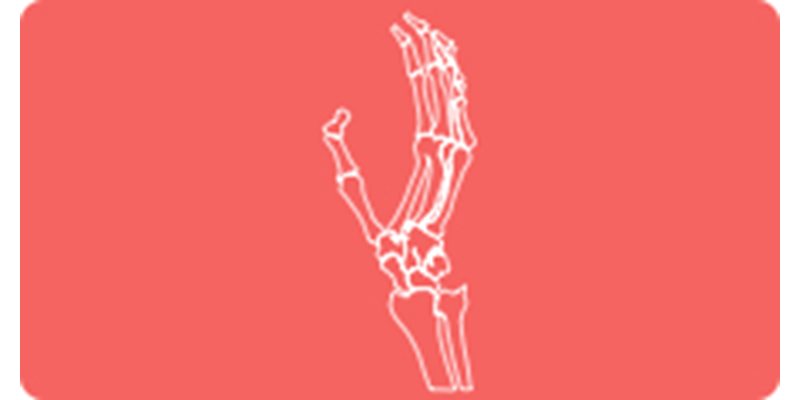 Basic Fractures - May 25-26, 2027 
