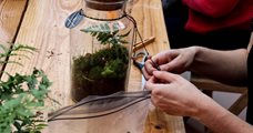 Workshop - Bouw je eigen terrarium! 