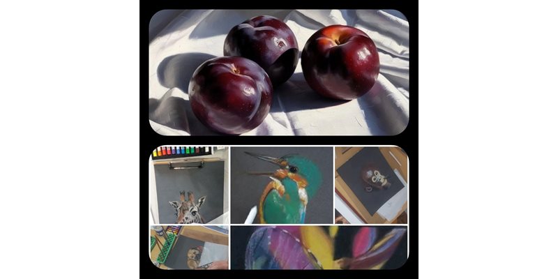 Workshop stilleven of dier in Barneveld zat. 21 juni