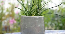30-03 | Workshop - Pottenbakken: Plantenpot van keramiek