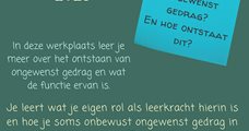 Werkplaats Gedrag in de klas