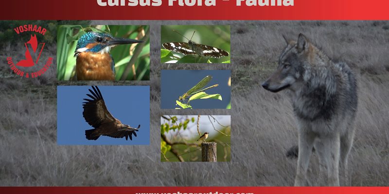 Cursus Flora en Fauna