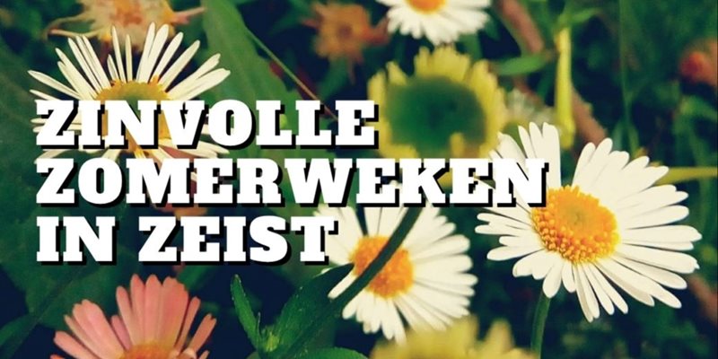 Zinvolle Zomerweken