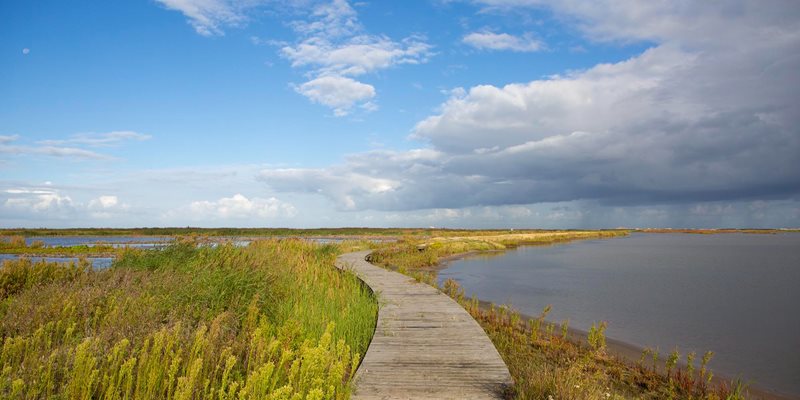 Lezing Marker Wadden