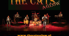 THE CATS AGLOW 