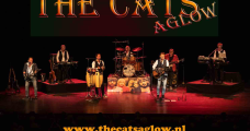 THE CATS AGLOW