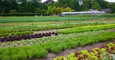 Rondleiding Land en Boschzigt