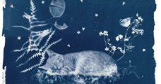 23-4 | Cyanotype workshop