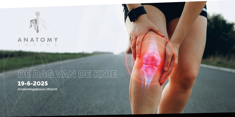 De dag van de knie