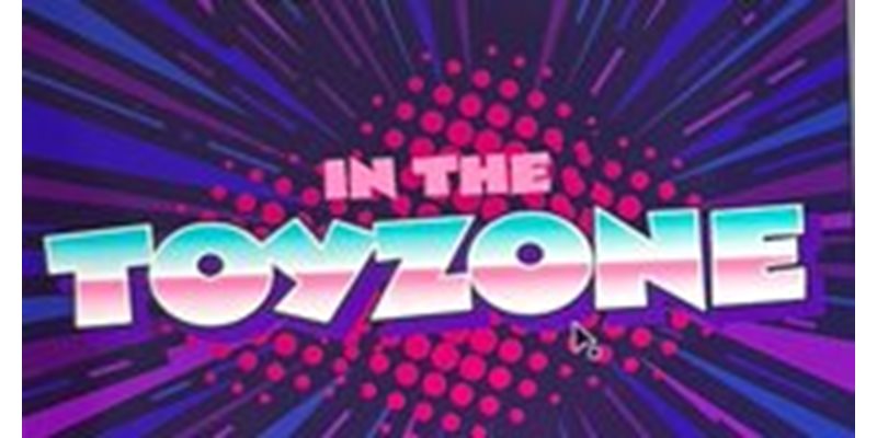 In the Toyzone