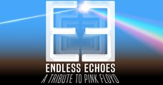 Endless Echoes a tribute to Pink Floyd 