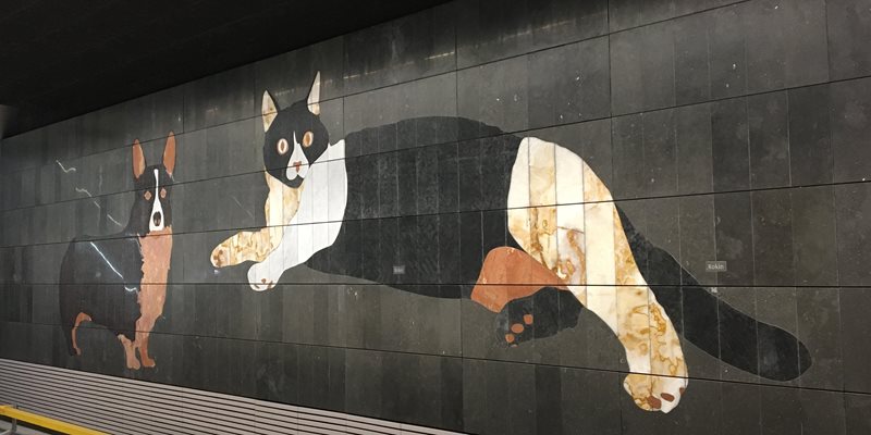 Rondleiding NZ lijn 