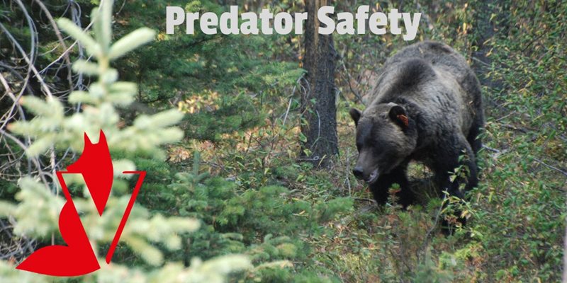 Predator safety
