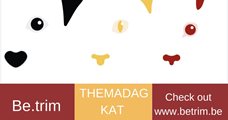 Themadag kat en konijn