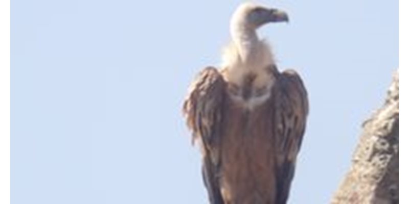 Natuurreis Extremadura