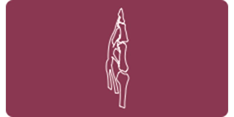 Tendons, April 10 & 11, 2025