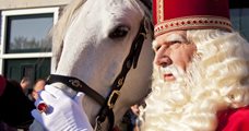 Grote Hoornse Sinterklaas Show