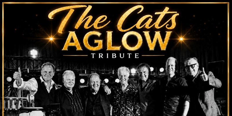 The Cats Aglow