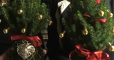 20-12 | Kerstboom Kokodama maken