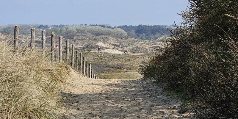 Wandelen en Qi gong op het strand